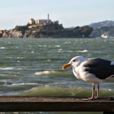 Alcatraz, 80 años de la cárcel más cinematográfica del mundo