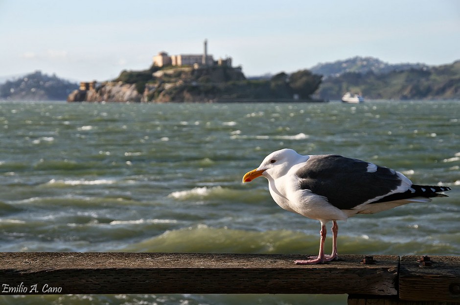 Alcatraz, 80 años de la cárcel más cinematográfica del mundo